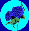 Blue Rose Logo, 13.7kb JPEG